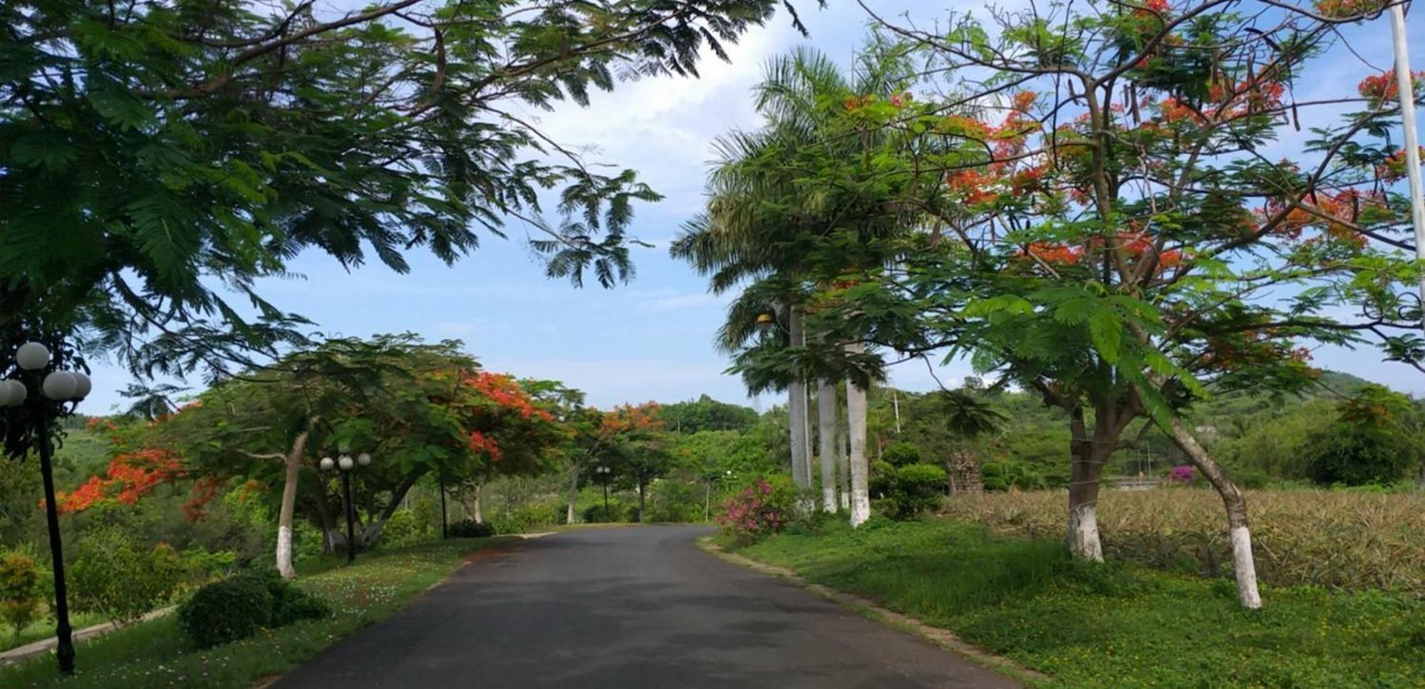 Nui Thom Ecolodge Tuy Hoà Ngoại thất bức ảnh