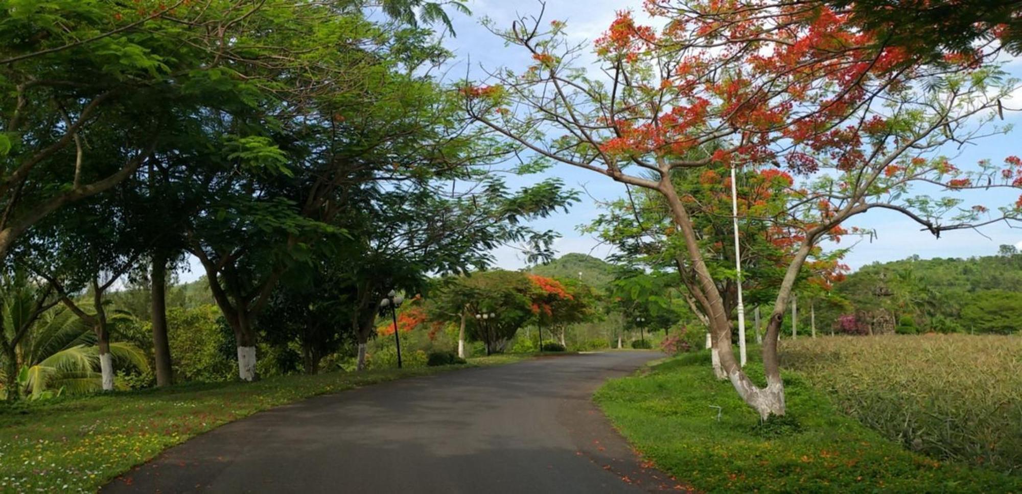 Nui Thom Ecolodge Tuy Hoà Ngoại thất bức ảnh