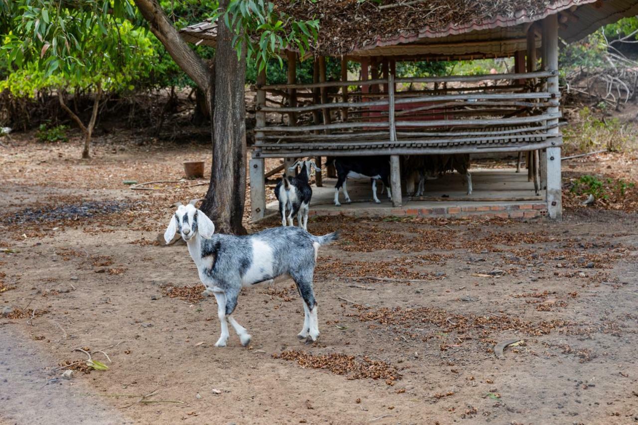 Nui Thom Ecolodge Tuy Hoà Ngoại thất bức ảnh