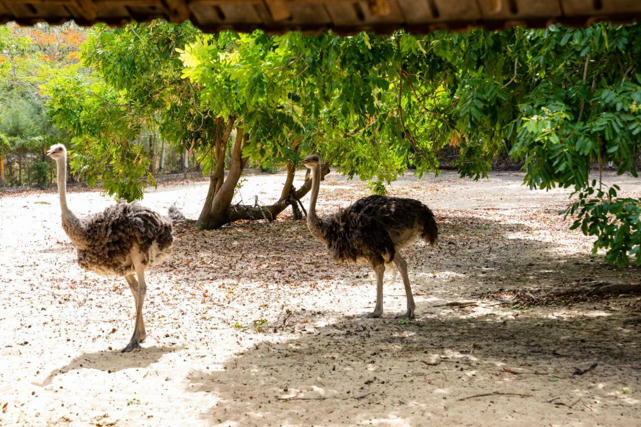 Nui Thom Ecolodge Tuy Hoà Ngoại thất bức ảnh